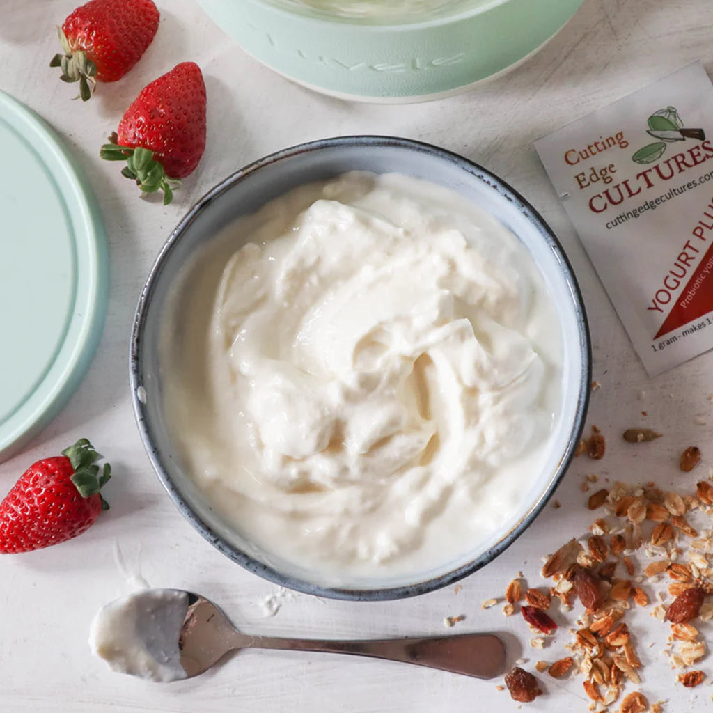 homemade probiotic yogurt with cutting edge cultures