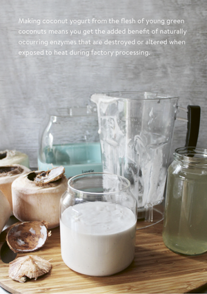 Luvele, The Luvele DIY Coconut Yogurt Recipe E-Book Bundle PDF/MOBI KF8/EPUB,